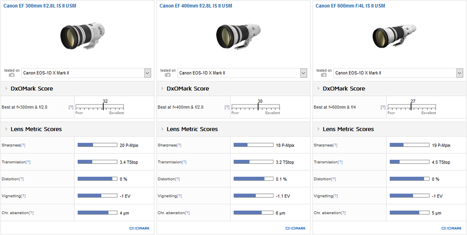 Best lenses for sports (150 mm and above): Canon EF 300 mm F2.8L IS II USM