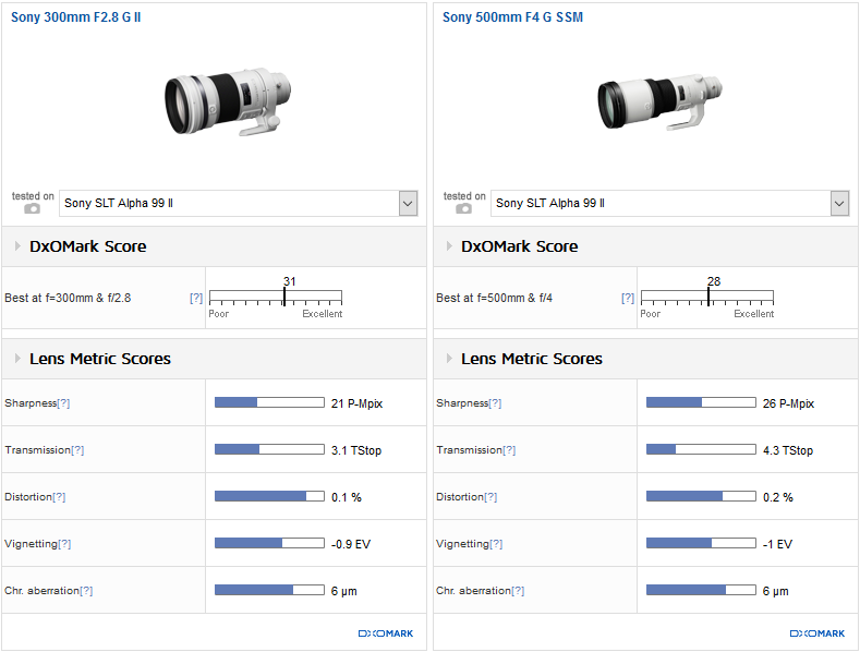 Best telephoto prime: Sony 300mm f/2.8 G II